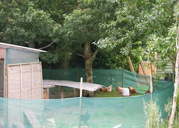 Samuel's Heritage Waterford